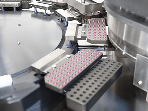 Máquina de enchimento e selagem de cápsulas duras NJYF